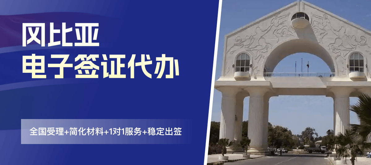 冈比亚电子签证专业代办