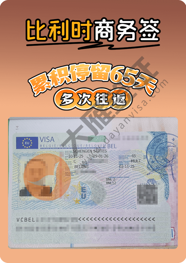 比利时商务.png
