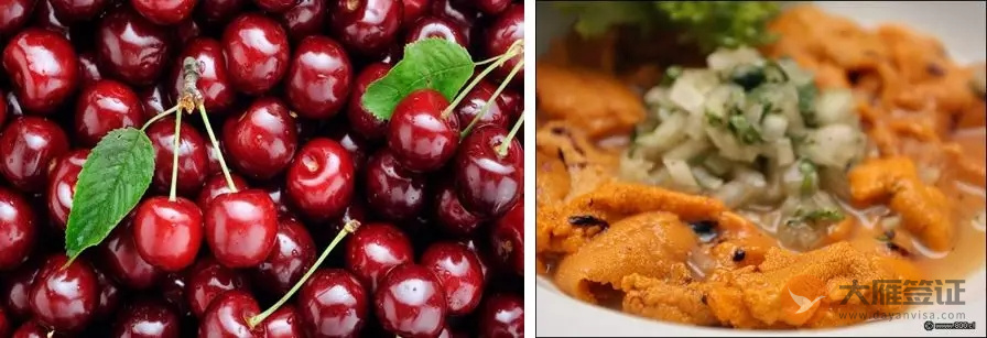 车厘子、羊驼和星空，总有一款high翻你 ！