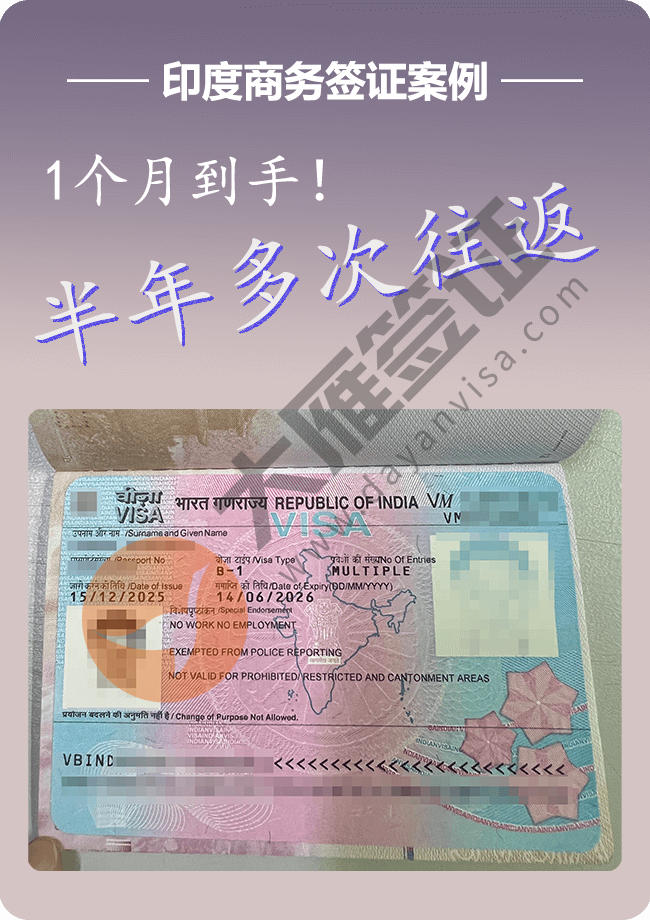 印度商务   一个月到手  半年多次.png