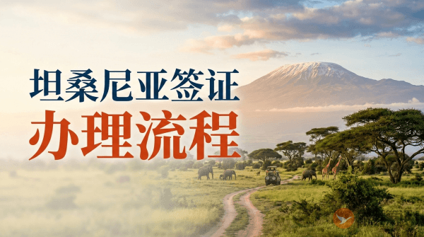 坦桑尼亚签证怎么办?-图