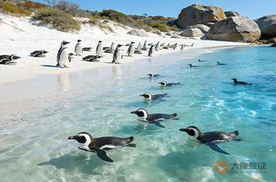 西安南非签证中心