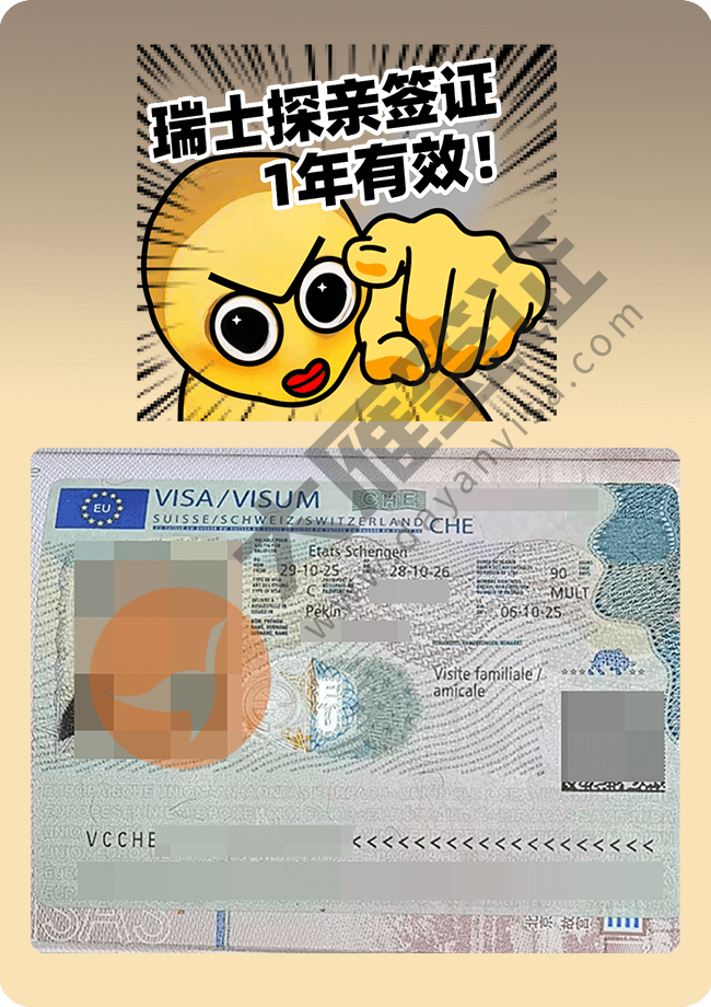瑞士探亲，签证1年有效期，累计停留90天.png