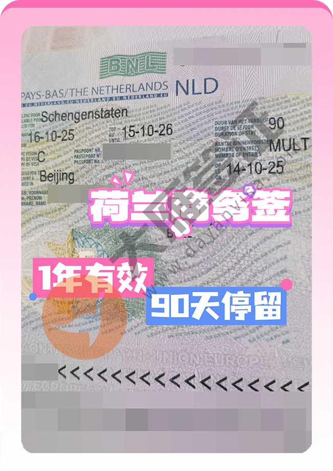 荷兰商务签证1年有效顺利出！