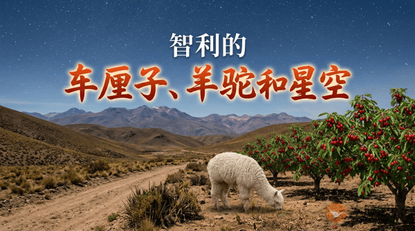 智利的车厘子羊驼和星空总有一款high翻你 ！