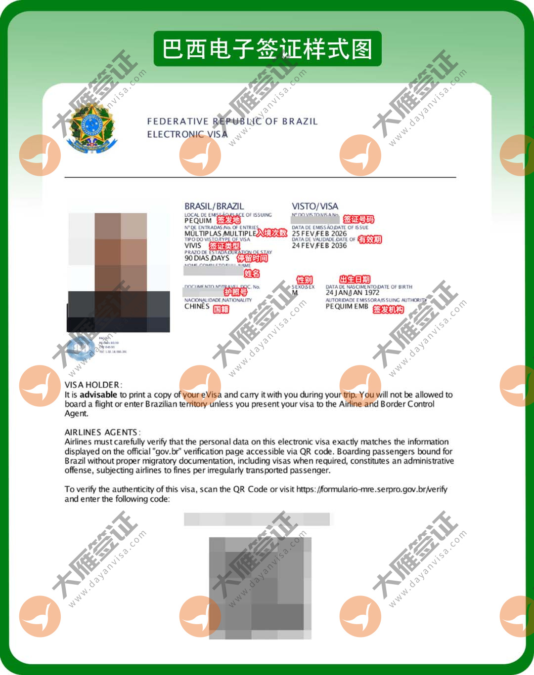 巴西电子样式图