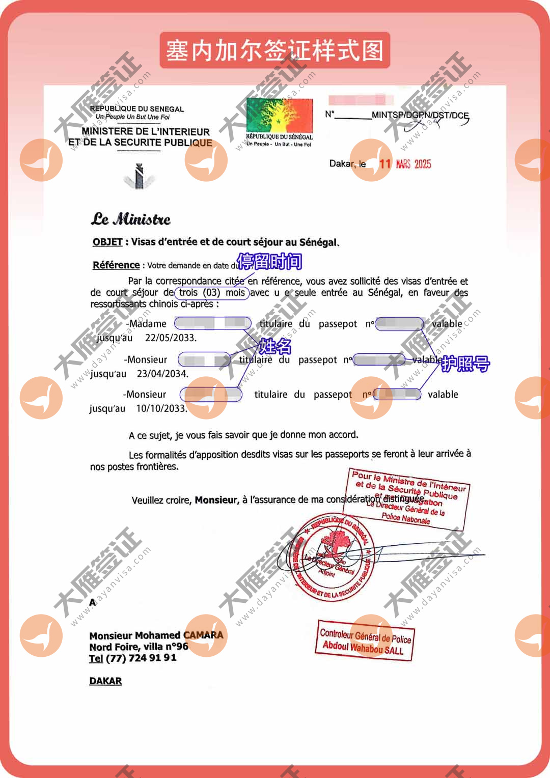 塞内加尔电子样式图