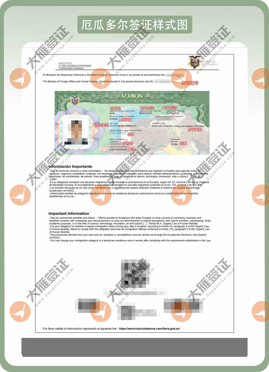厄瓜多尔电子样式图