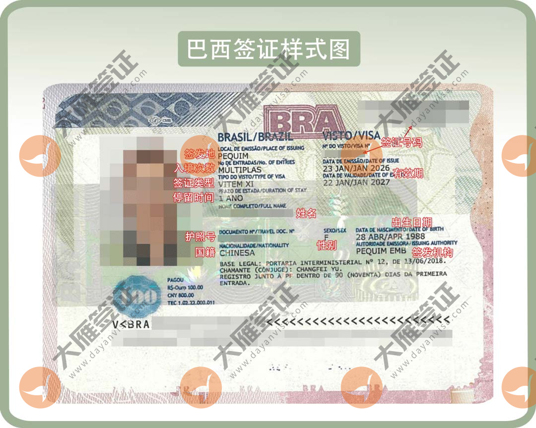 巴西贴纸样式图