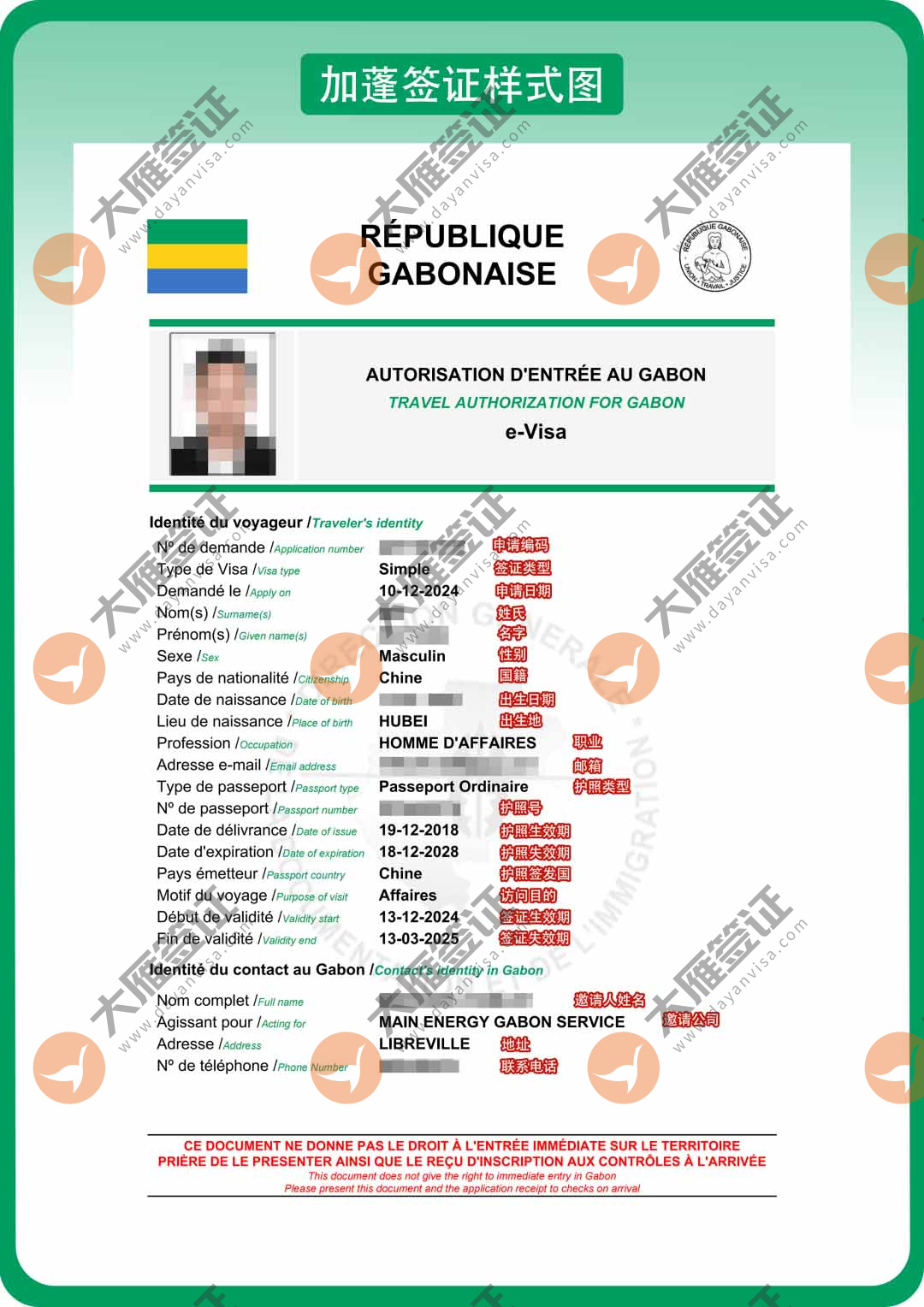 加蓬电子样式图