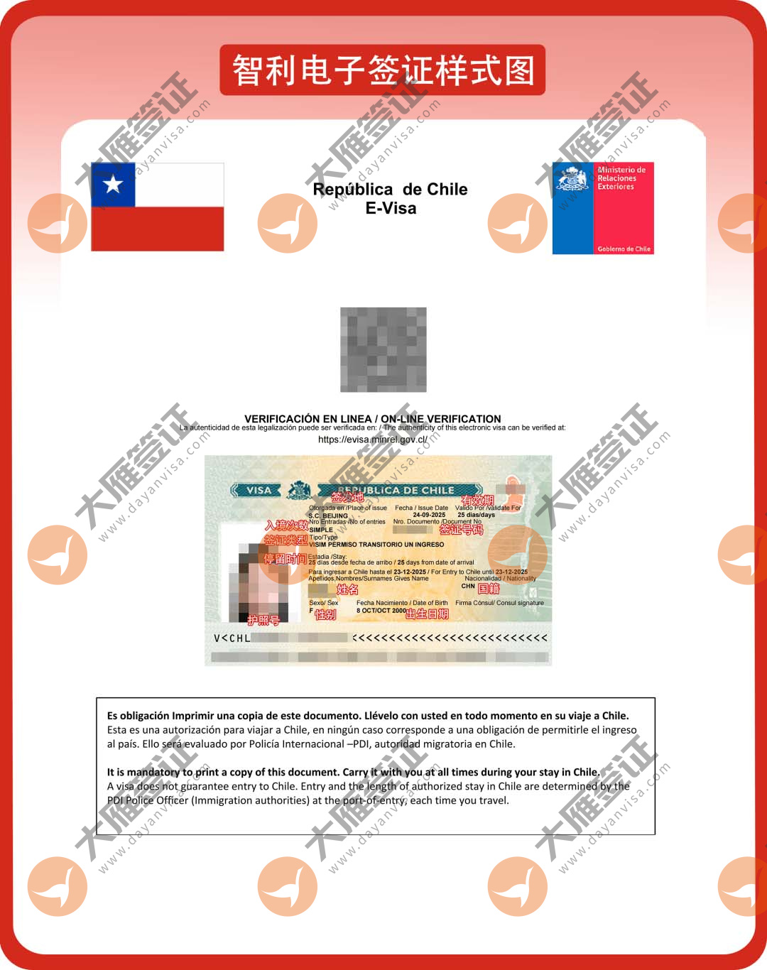 智利电子样式图