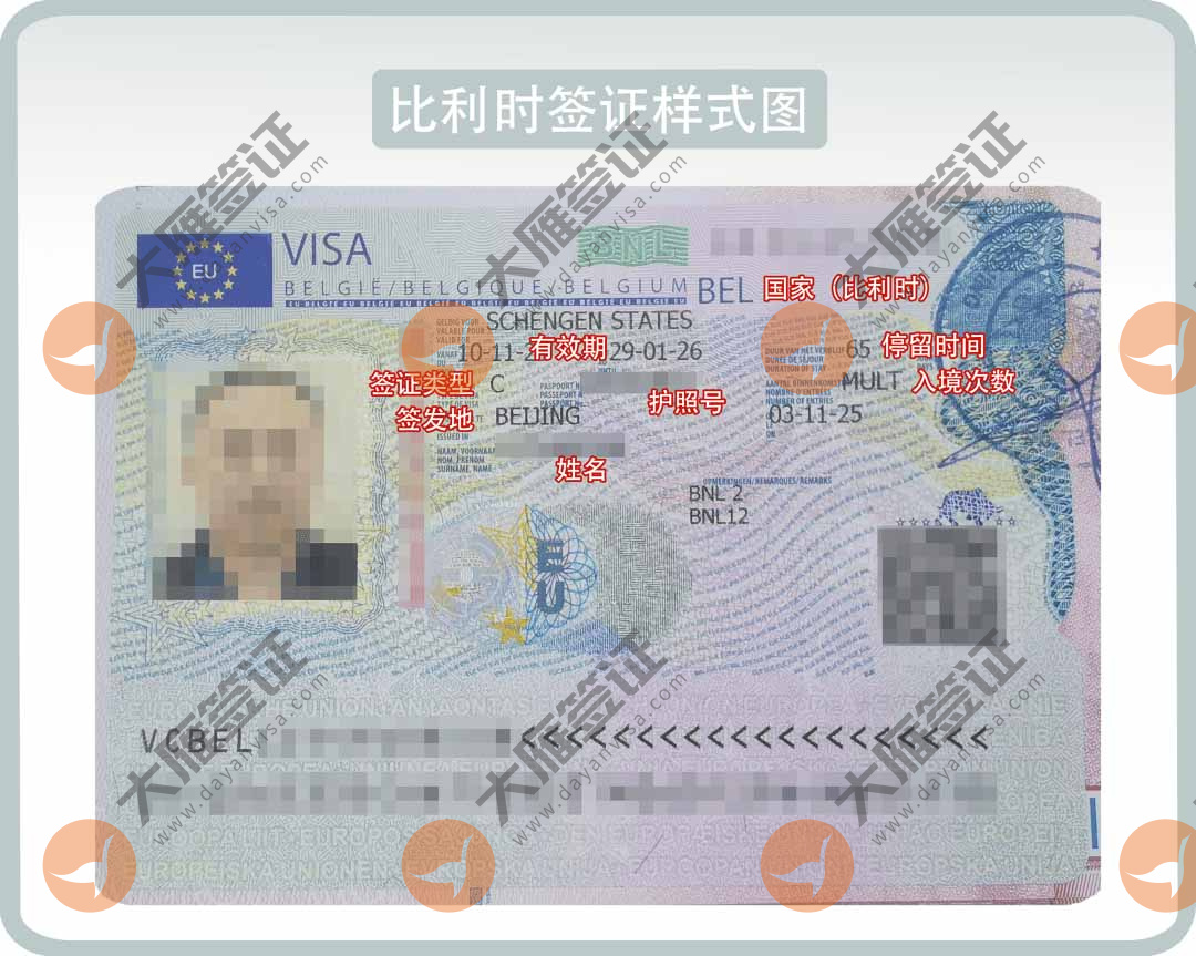 比利时贴纸样式图