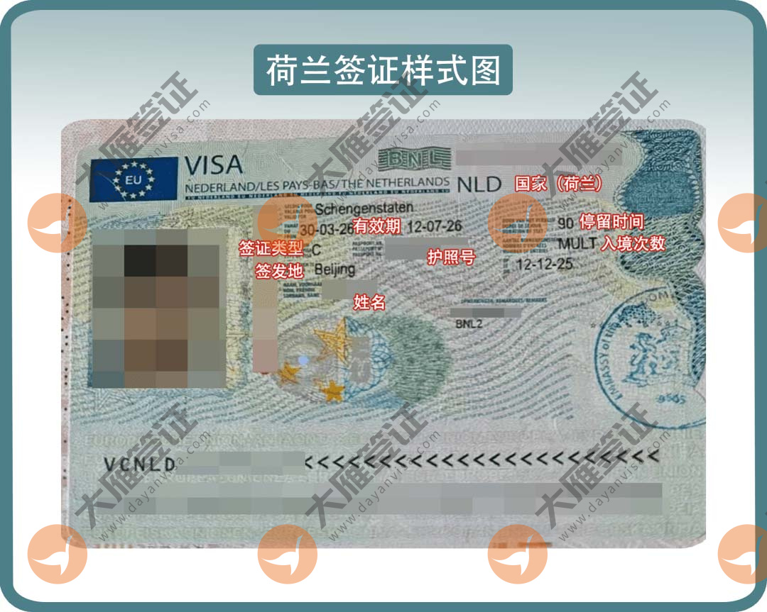 荷兰贴纸样式图