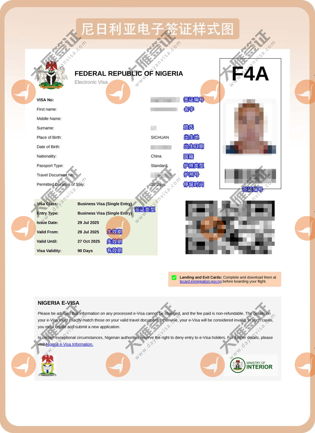 尼日利亚电子样式图