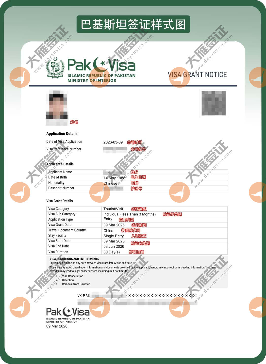 巴基斯坦电子样式图