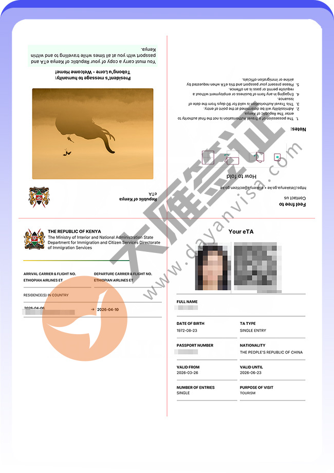 肯尼亚旅游ETA顺利出签案例图03