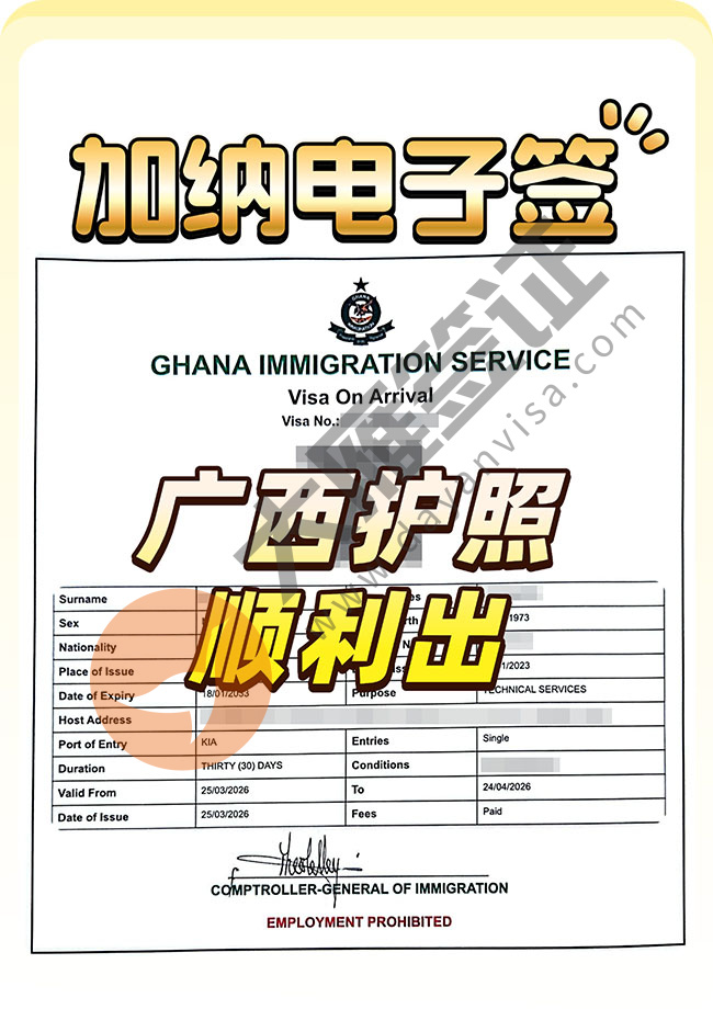 加纳电子签再下签案例图