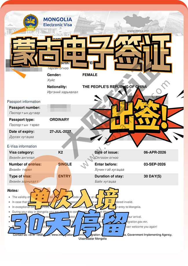 蒙古电子签证出签案例图01
