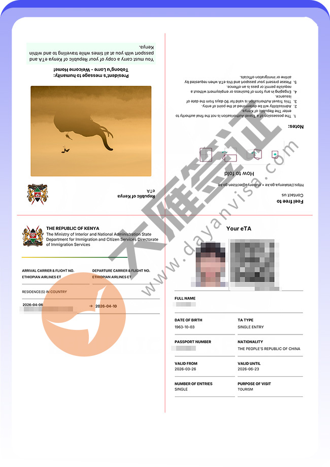 肯尼亚旅游ETA顺利出签案例图02