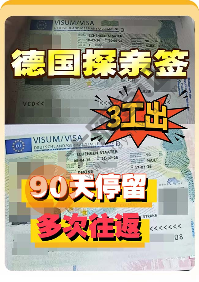 德国探亲签证双双出签案例图
