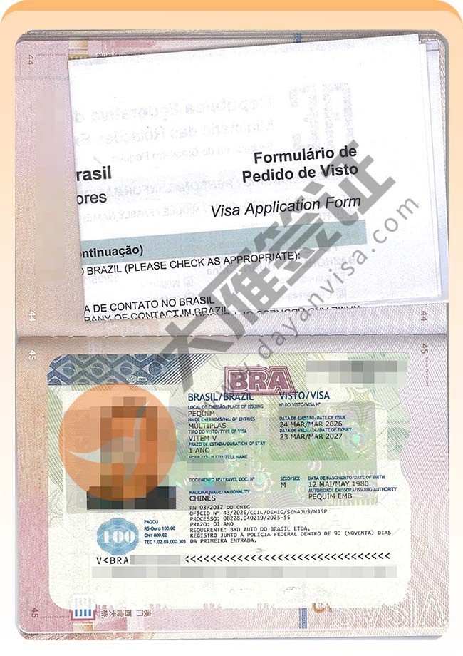 巴西工作签证批量再出签案例图03