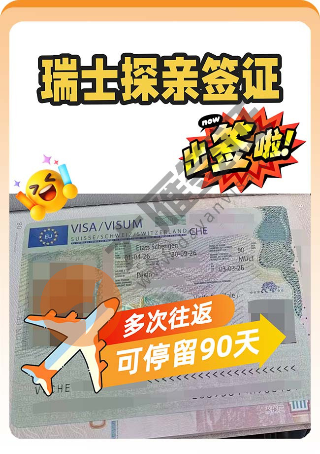 瑞士探亲签证再下签案例图