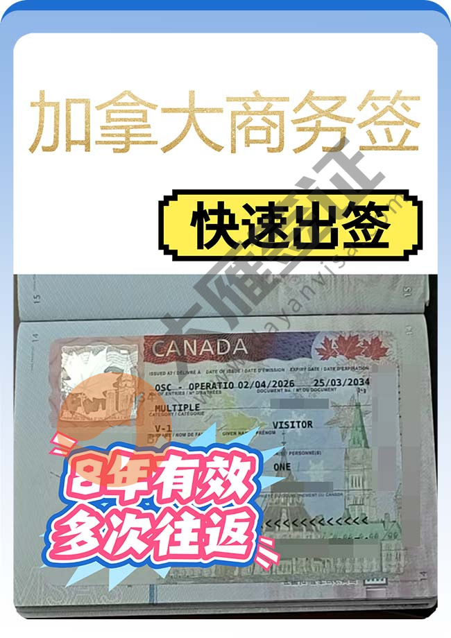 加拿大商务签证快速出签案例图