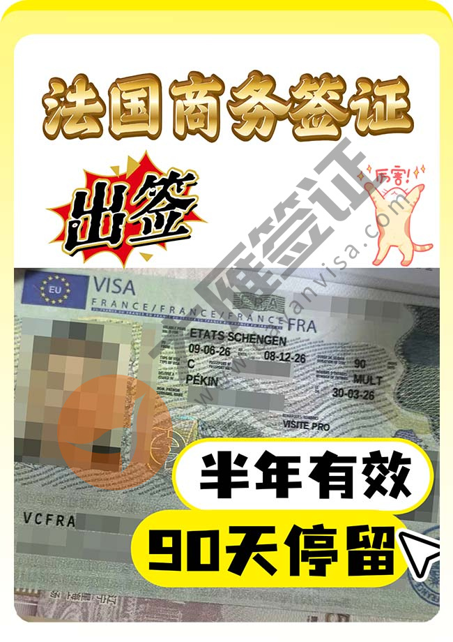 法国商务签证稳定继续出签案例图