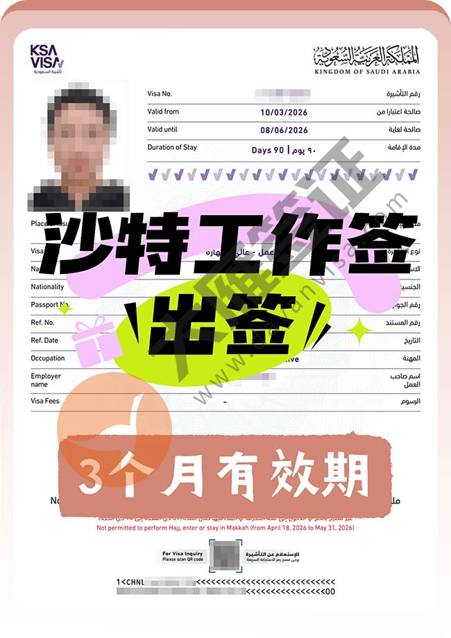 沙特工作签证2工快速下签案例图