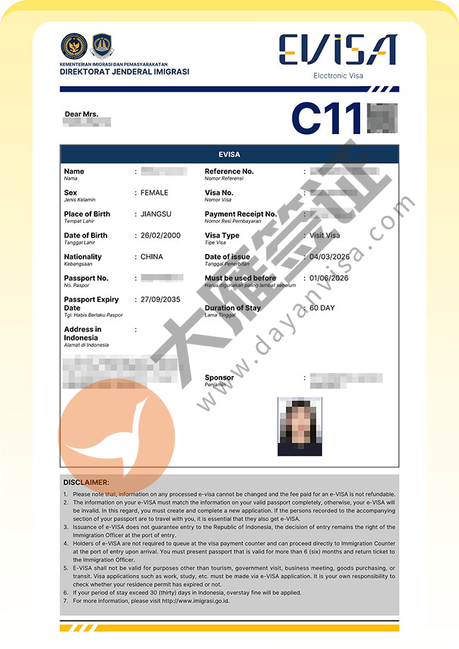 印度尼西亚C类签证批量再出签案例图08