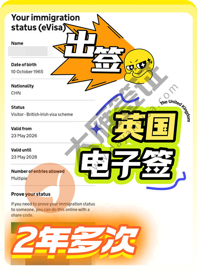 英国探亲电子签证出签案例图