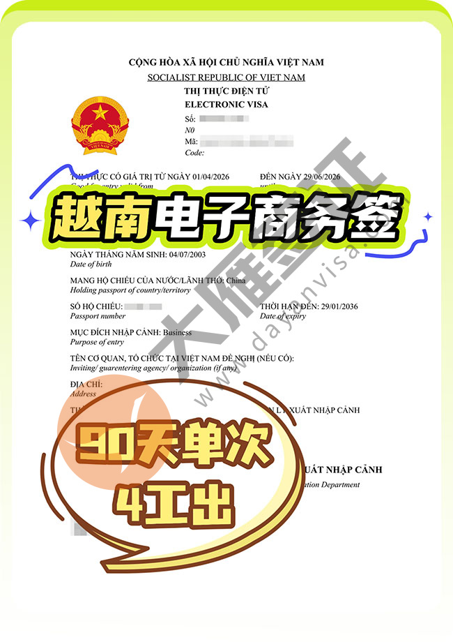 越南电子商务签证稳定批量出案例图01