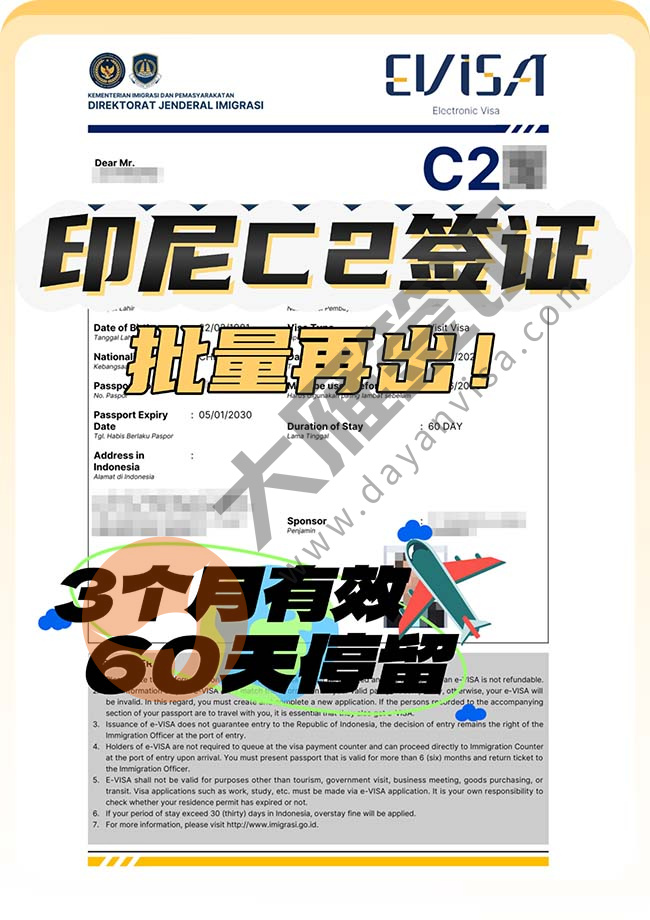 印度尼西亚C2签证批量再出案例图01