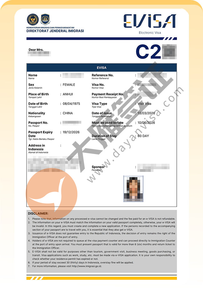 印度尼西亚C2签证批量再出案例图03
