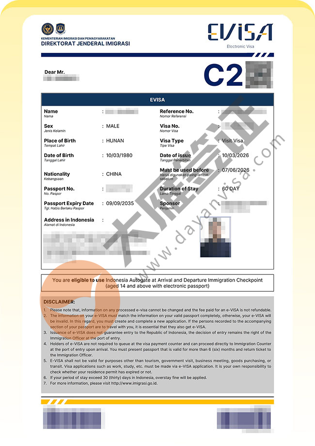 印度尼西亚C类签证批量再出签案例图02