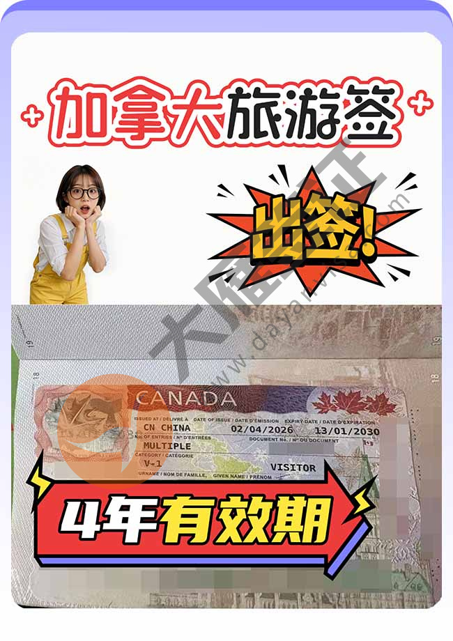 再下签！加拿大旅游签证案例图