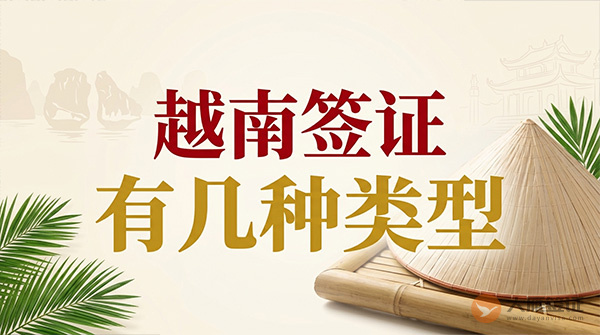 越南签证有几种类型？