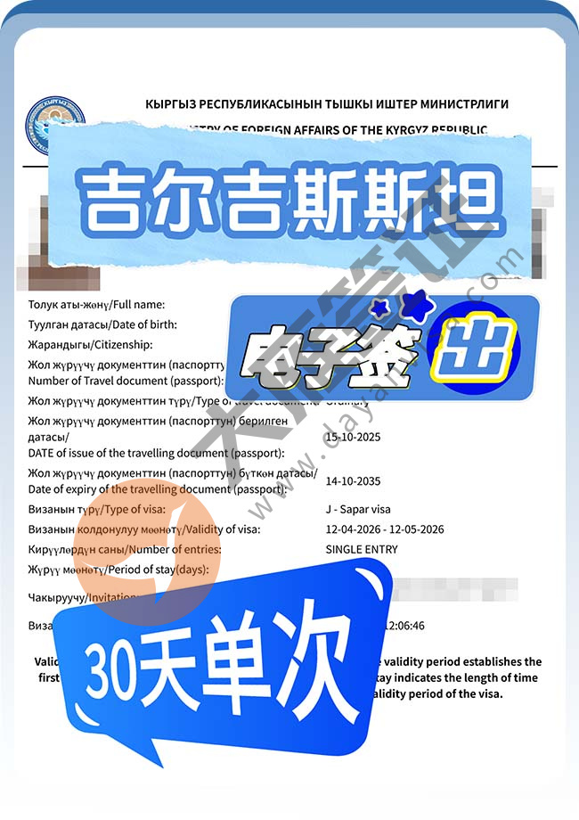 吉尔吉斯斯坦电子签证3人顺利出案例图01