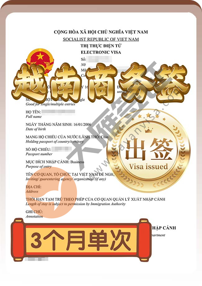 越南商务签证叕出签啦案例图01
