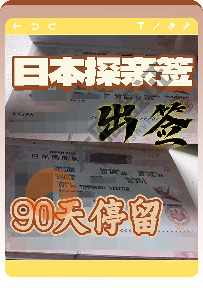 日本探亲签证双人出签案例图