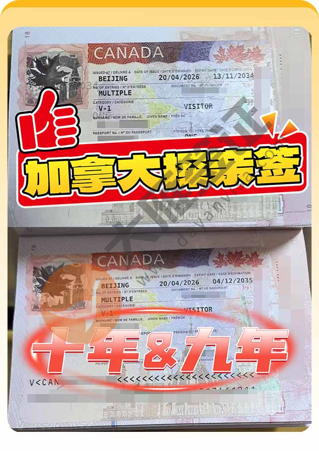 恭喜！加拿大探亲签证双人出案例图