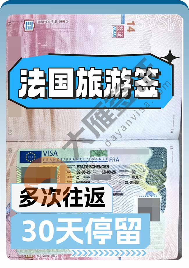 出来啦！法国C类旅游签证案例图