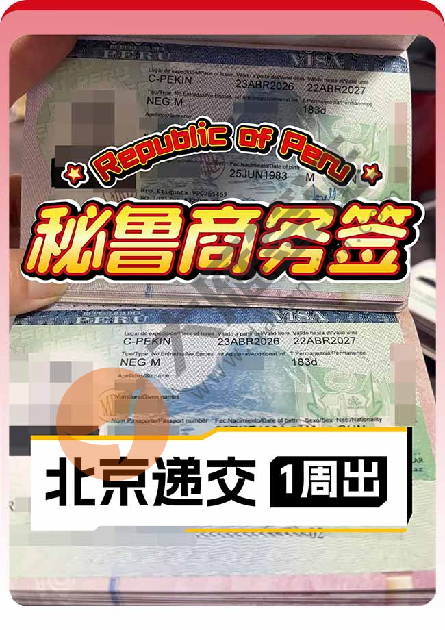 秘鲁商务签证双人再下签案例图01