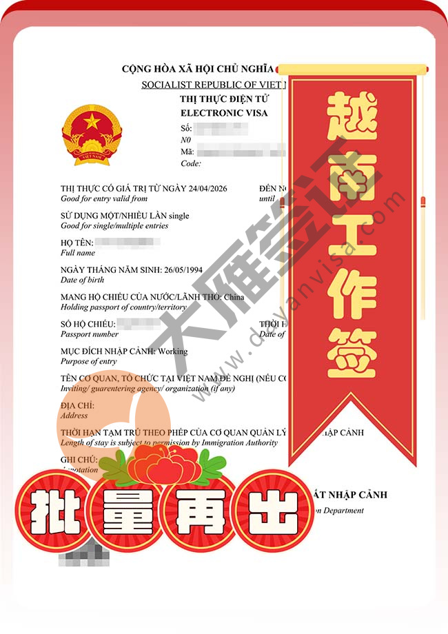 越南工作签证批量再出签案例图