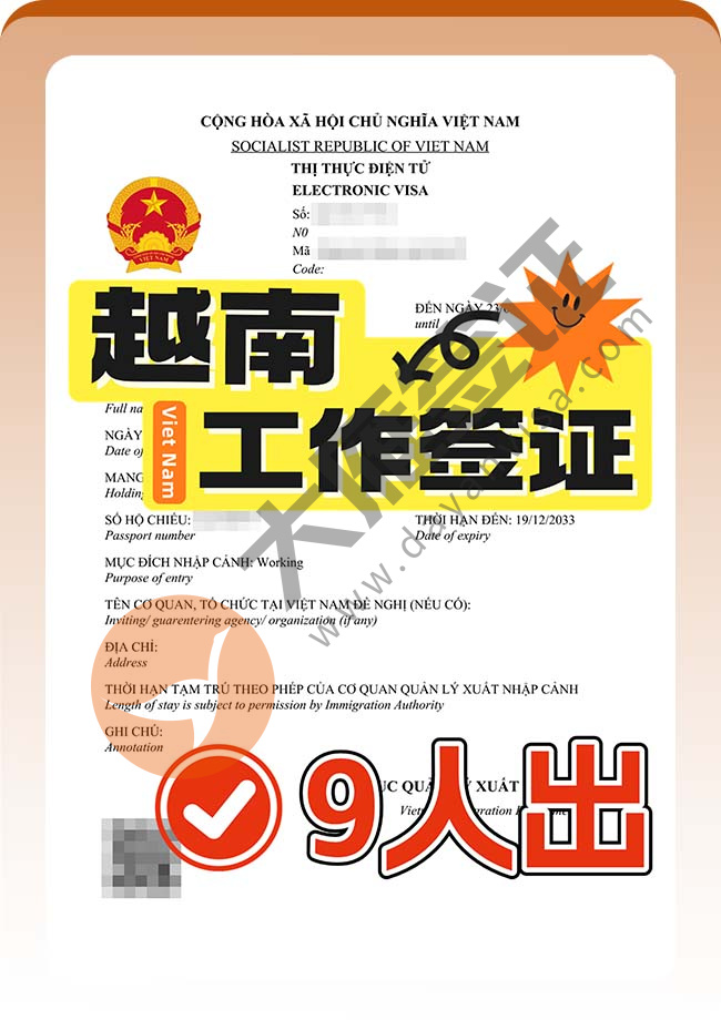 棒棒哒！越南工作签证批量再出案例图01