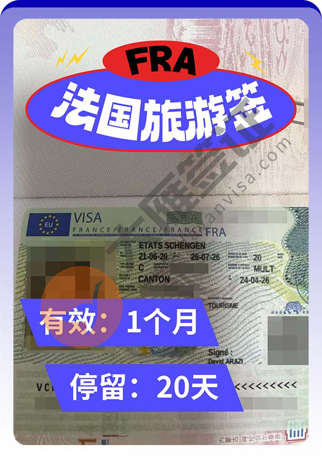 nice！法国旅游签证出啦案例图