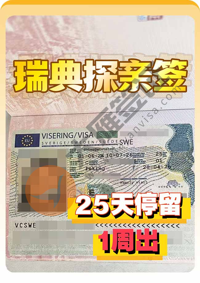 再出！瑞典探亲签证(C类)案例图