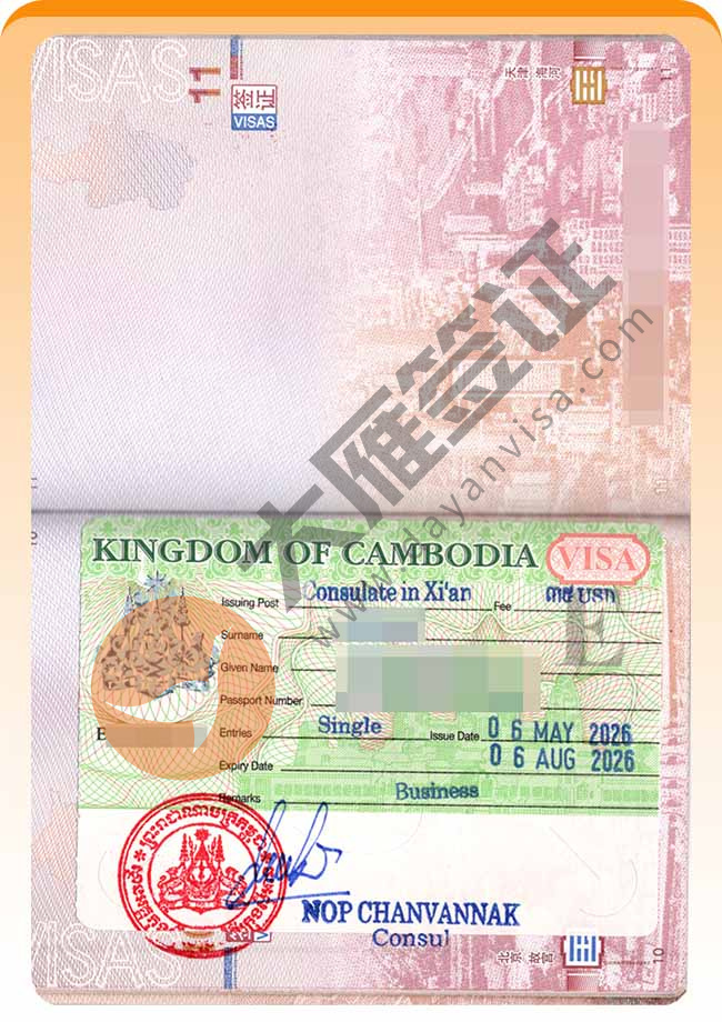 nice！柬埔寨商务签证顺利再出案例图02