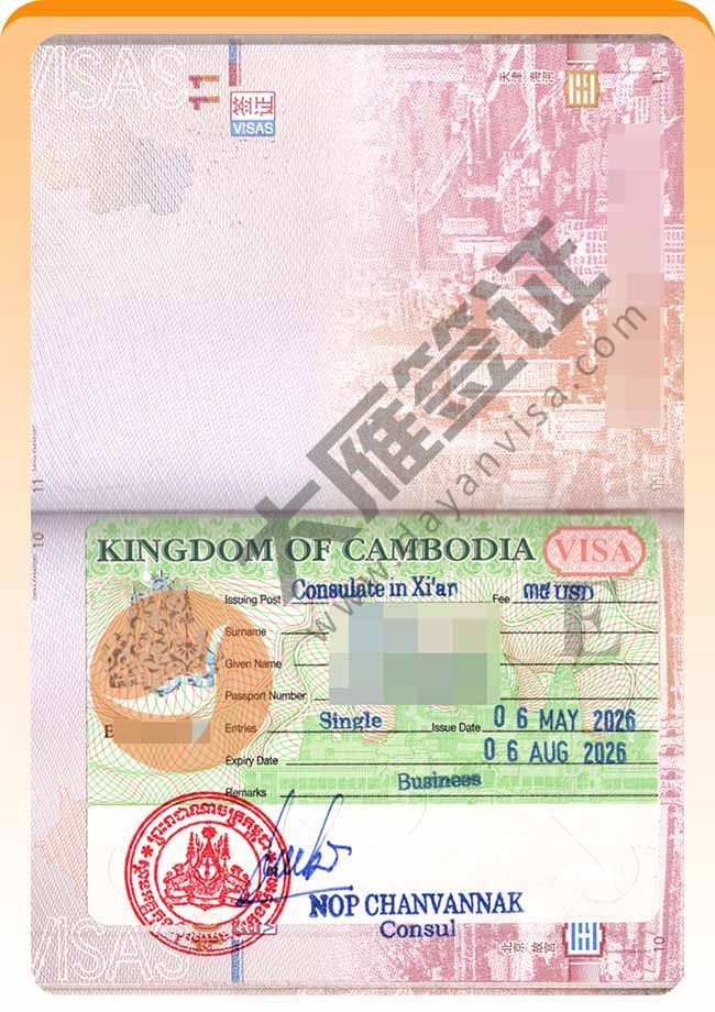 nice！柬埔寨商务签证顺利再出案例图03