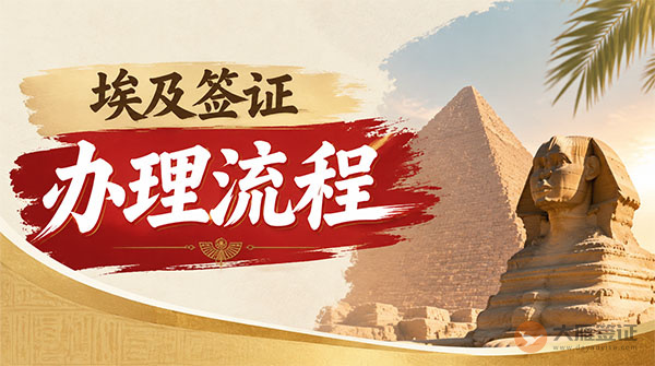 埃及签证办理流程-图